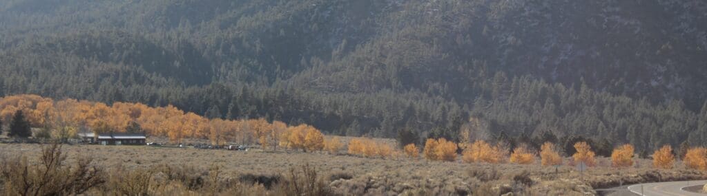 Fall color on Highway 206